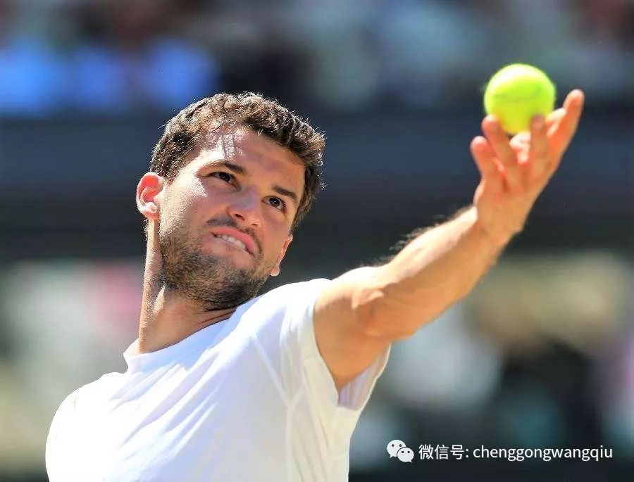 他的收入已 他的收入已