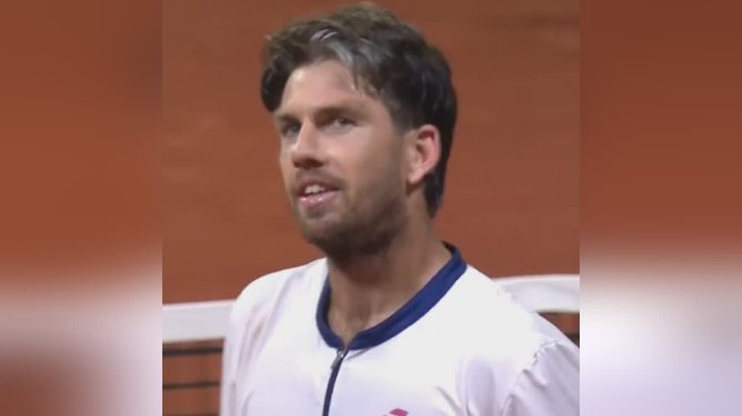 但当事人Z 但当事人Z